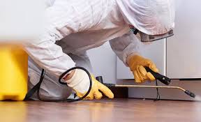 Real Estate Pest Inspections in Finley, WA